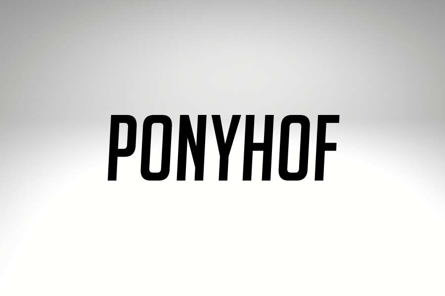 ponyhof-location-ponyhof-darmstadt-1