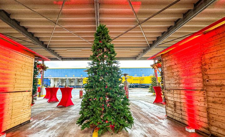 bleuchteter-weihnachtsbaum
