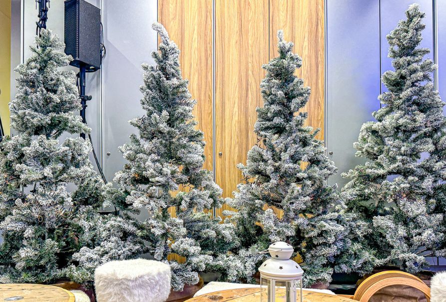 tannengrün-weihnachtsbäume