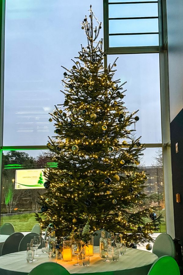 kunst-weihnachtsbaum-5m