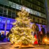 kunst-weihnachtsbaum-beleuchtet-mieten
