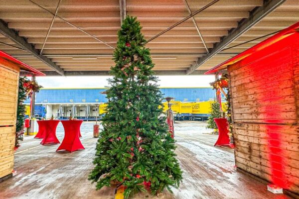 weihnachtsbaum-kunst