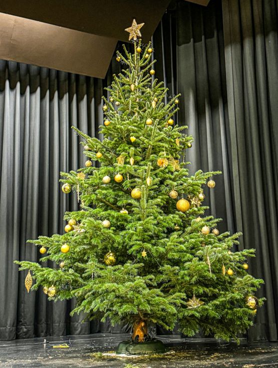 weihnachtsbaum-frankfurt-am-main-mieten