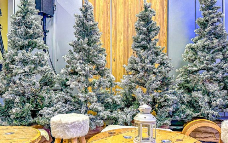 alternative-kunstbäume-mieten