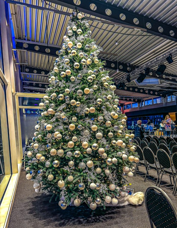weihnachtsbaum-im-topf-mieten