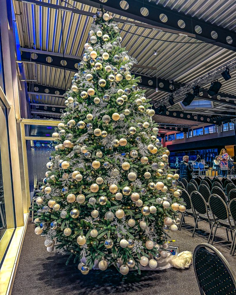 weihnachtsbaum-im-topf-mieten
