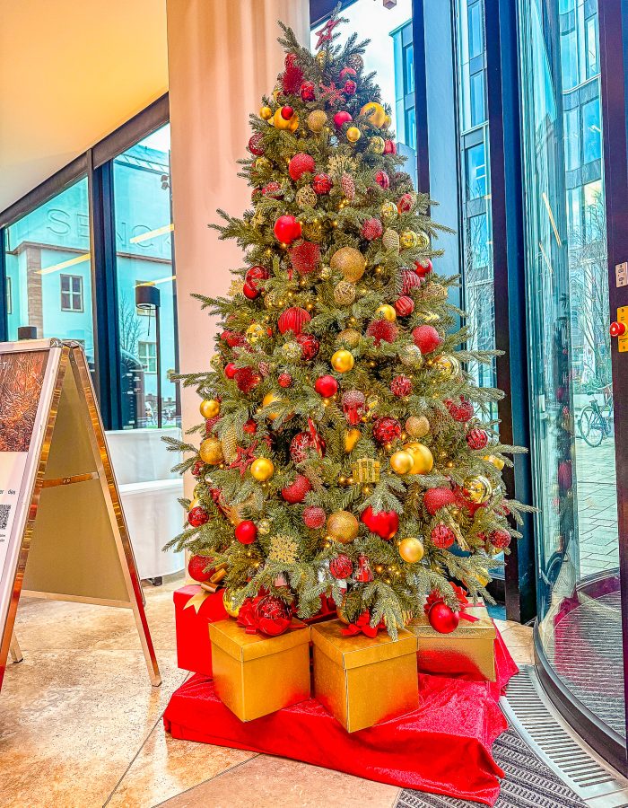 weihnachtsbaum-in-der-nähe-mieten-frankfurt